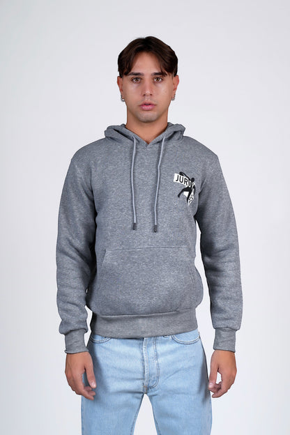 Felpa Grigio THEROUX